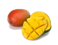 image_not_found